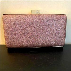 Shimmery Clutch